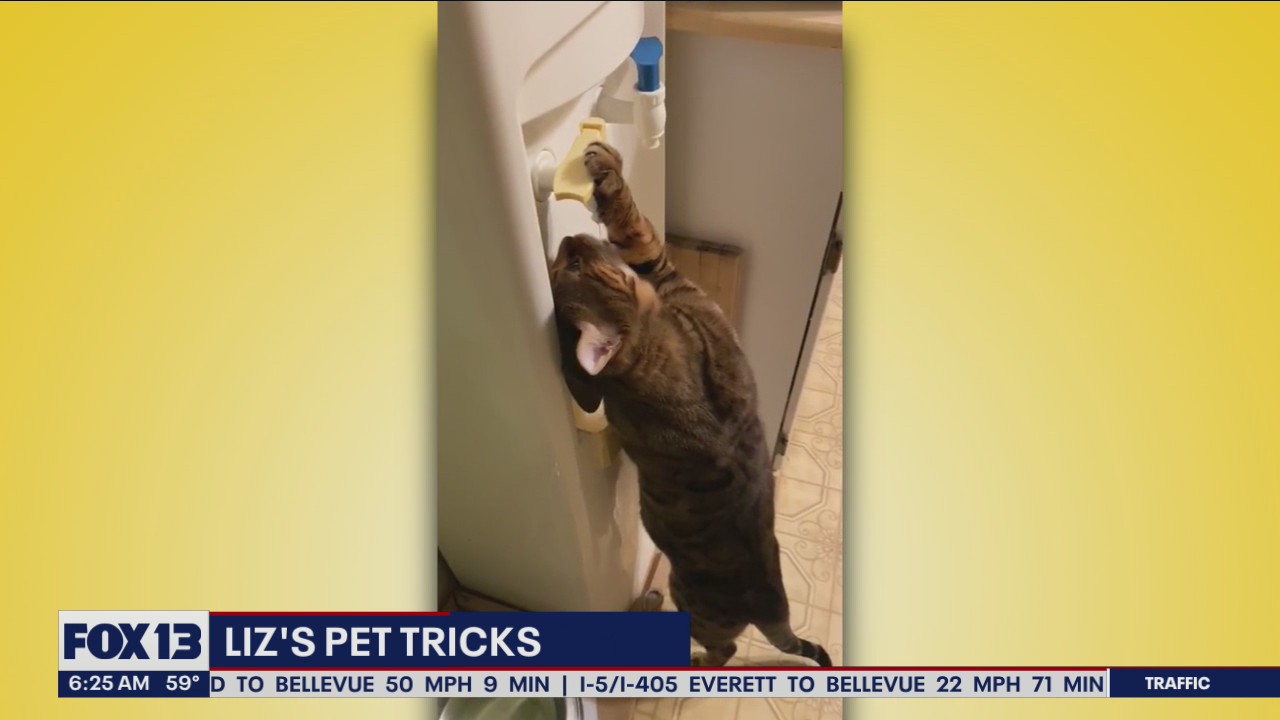 Liz's Pet Tricks for Thursday, September 29