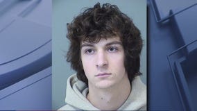 Teen violence suspect sentenced to probation