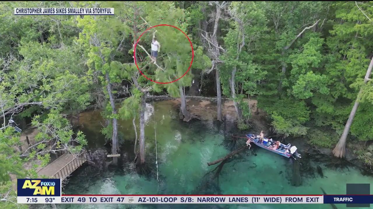 Man falls 60 feet into creek after branch breaks