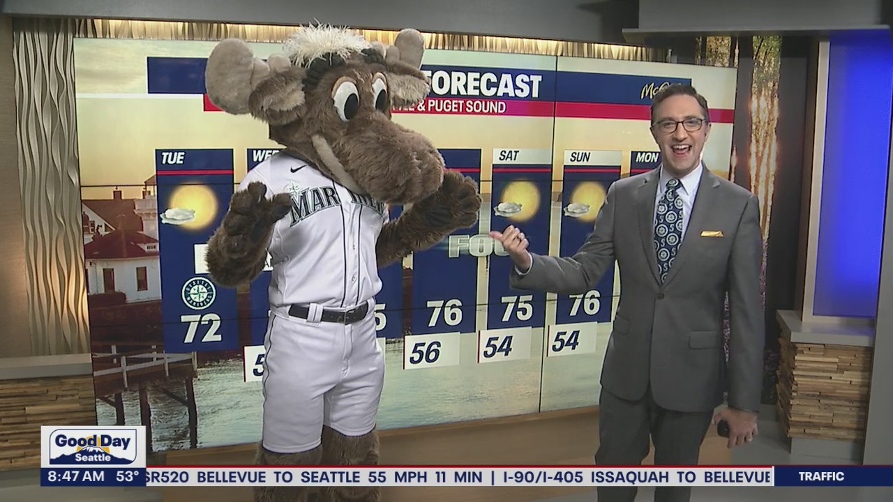 The Seattle Mariner Moose says it will be a little foggy this week