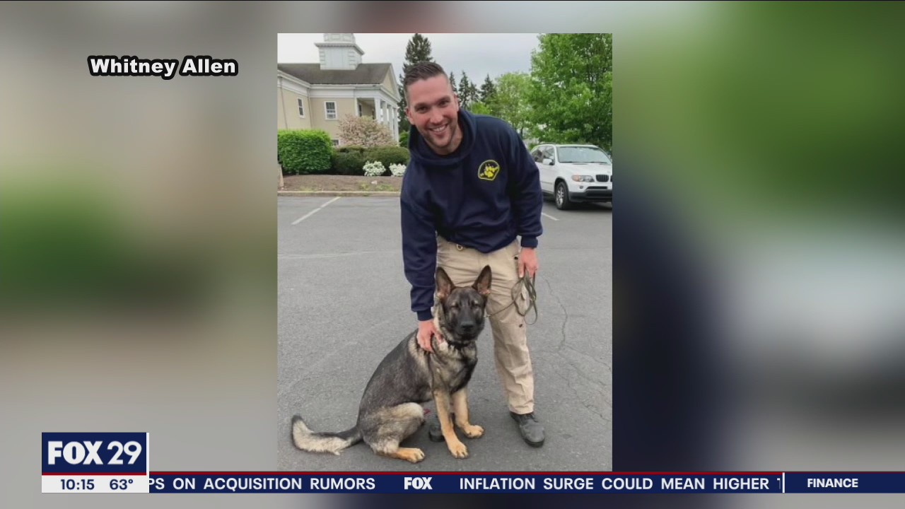 Hatboro K9 officer fighting for his life after bee sting