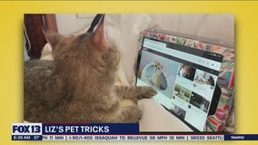 Liz's Pet Tricks, October 21