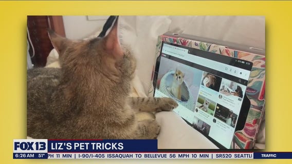 Liz's Pet Tricks, October 21