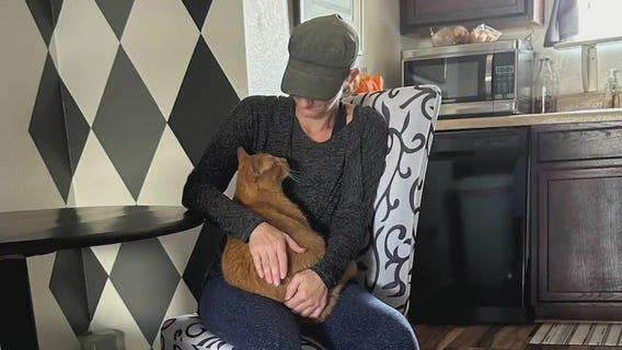 Animal cruelty for man accused of stealing ex's cats