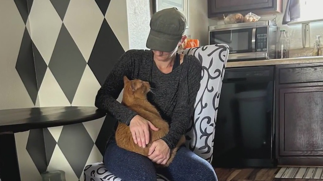 Animal cruelty for man accused of stealing ex's cats