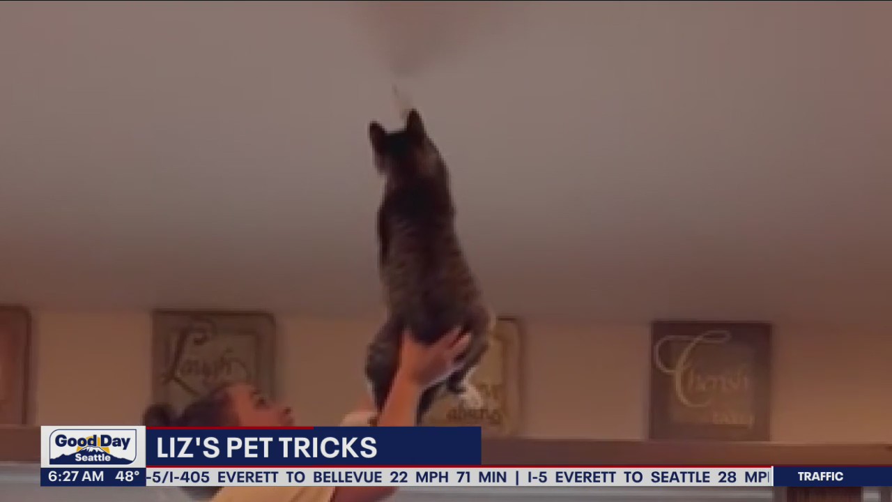 Liz's Pet Tricks for Tuesday, October 25