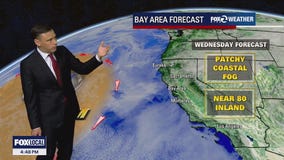 Mild to warm forecast