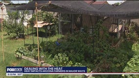 Arizona farmers battle unique challenges in the heat