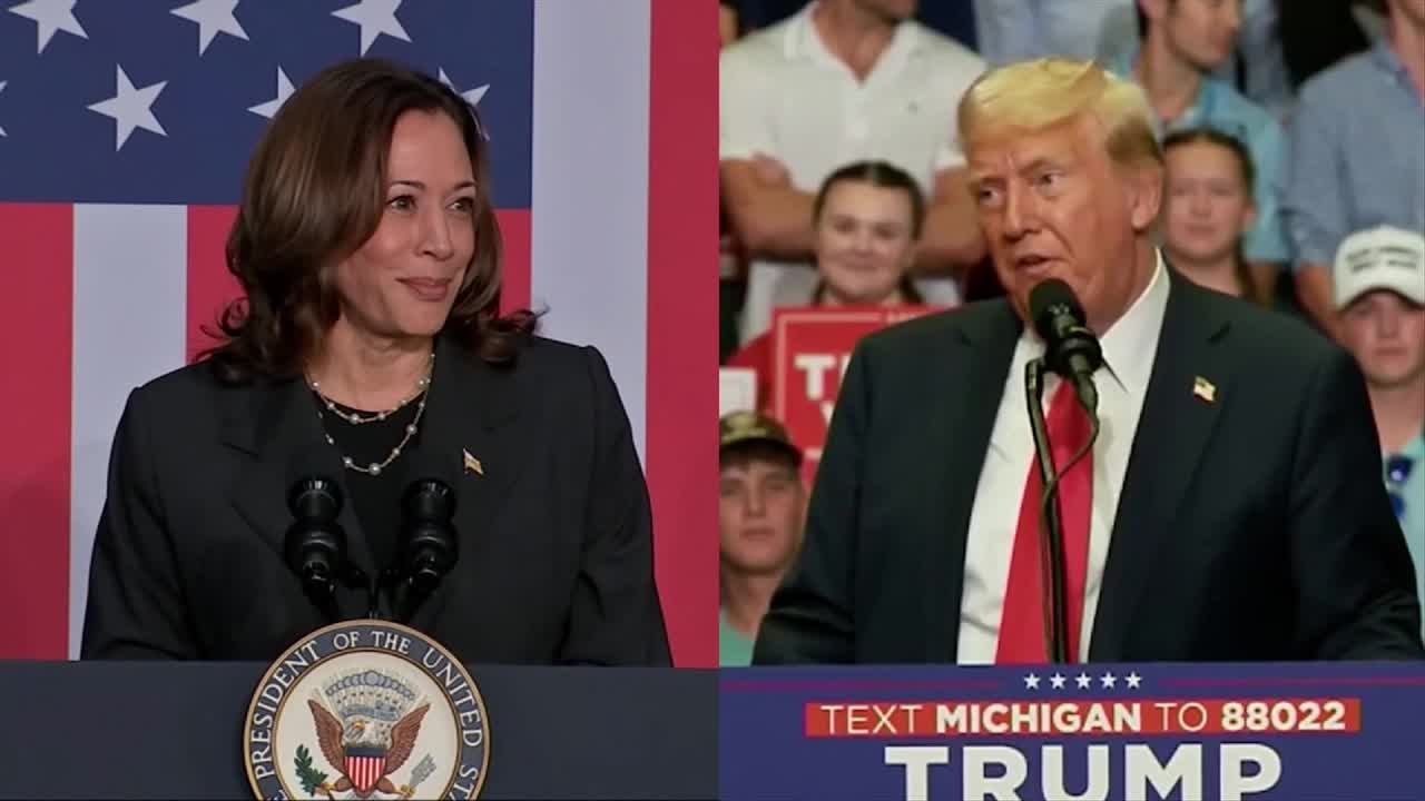 Trump pollster's warning for campaign l FOX 10 Talks