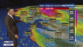 Breezy to windy forecast