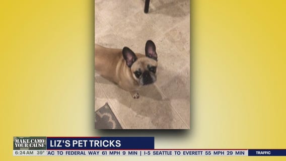 Liz's Pet Tricks for Friday, November 11