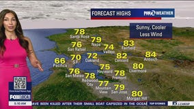 Sunny, slightly cooler