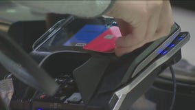 Tariff tensions, the price of the international trade fight