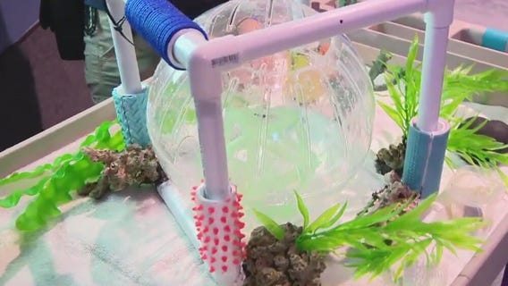 OdySea Aquarium interns gain valuable experience