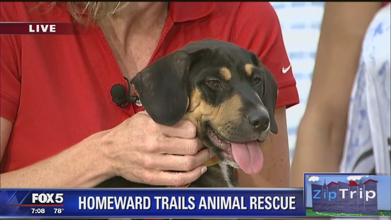 Pentagon Row | Zip Trip: Homeward Trails