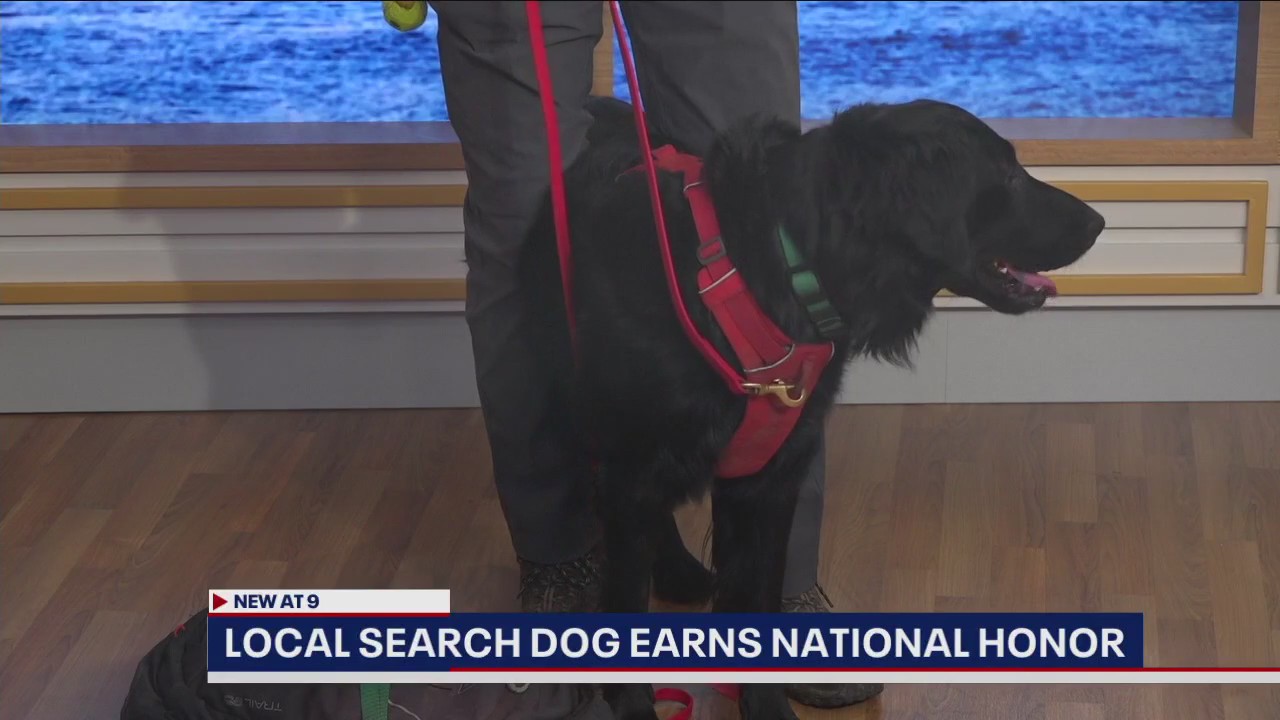 Local search dog receives 2022 Search and Rescue Award for Canine Excellence