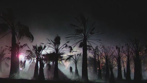 Palm tree farm goes up in flames in Tolleson