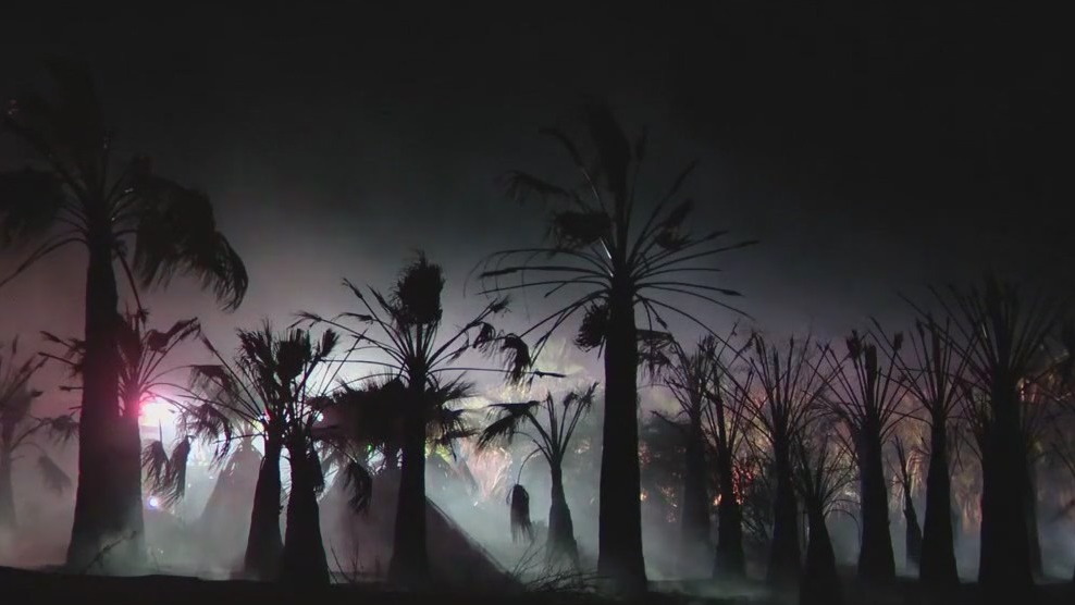 Palm tree farm goes up in flames in Tolleson