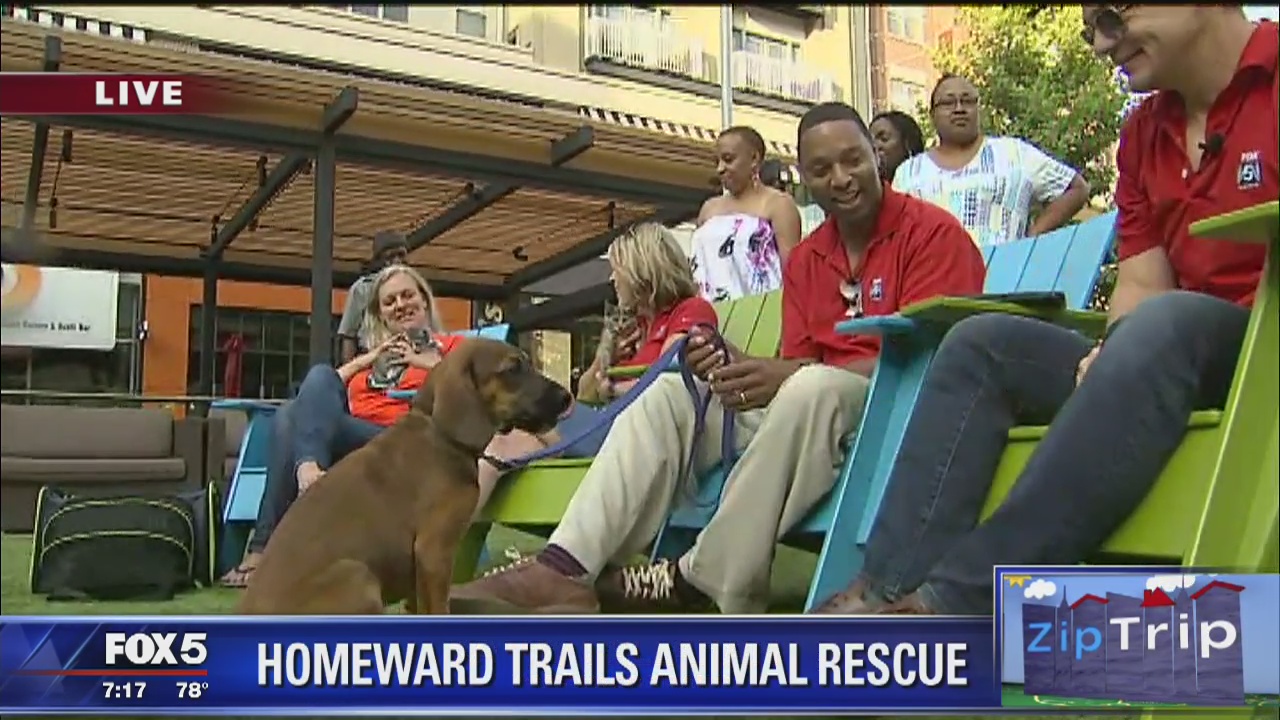 Pentagon Row | Zip Trip: Homeward Trails helps animals in need