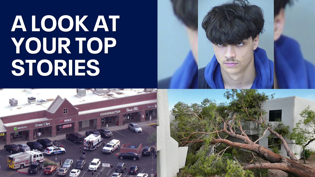 Kelly reacts to VP; trees tumble | Nightly Roundup