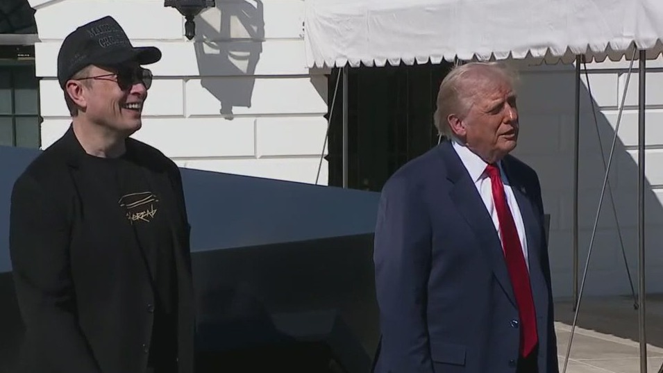 How some South African's see Elon Musk