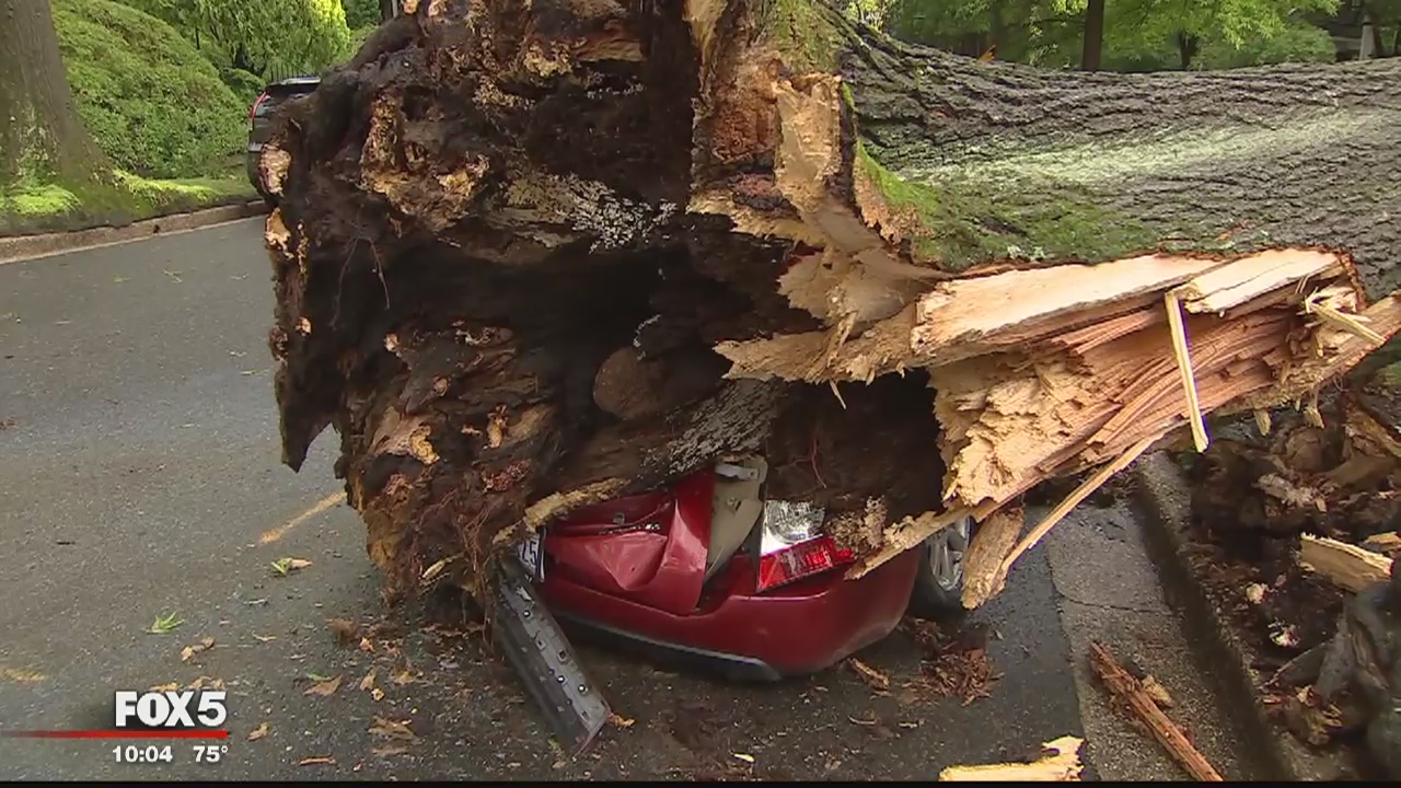 Storm ravages District, leaving trail of destruction