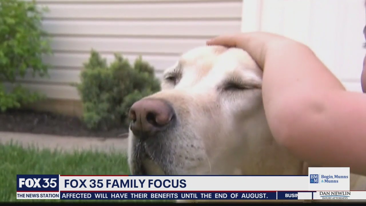 Toddlers who grow up with dogs get along better with others