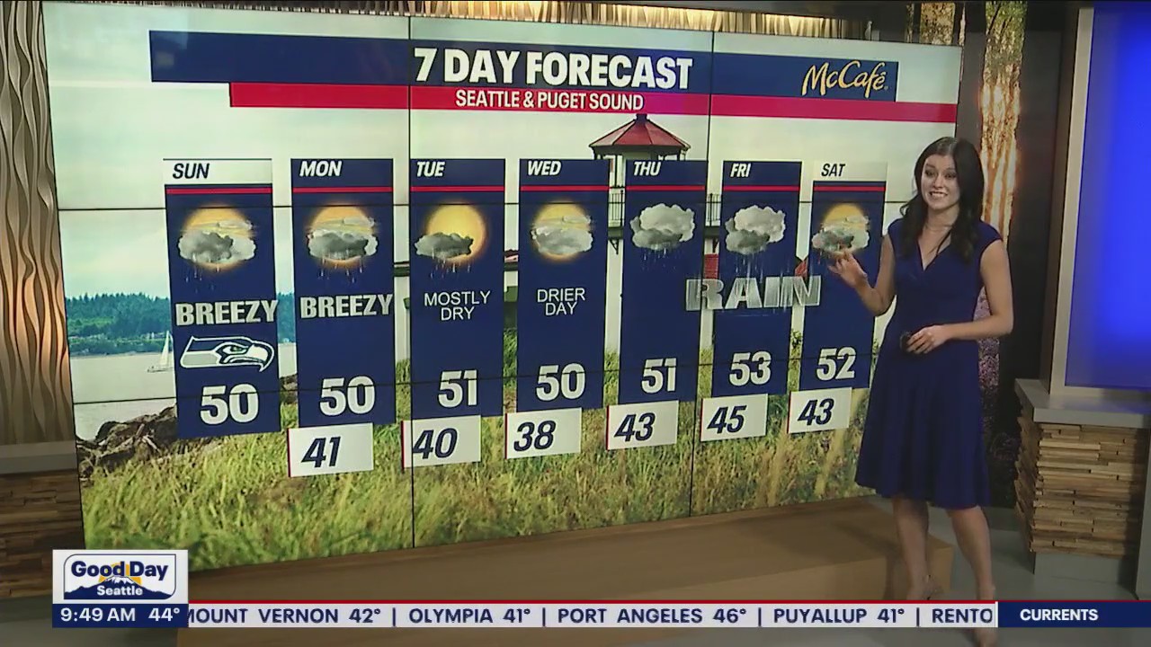 Rain, rain, rain all week long!