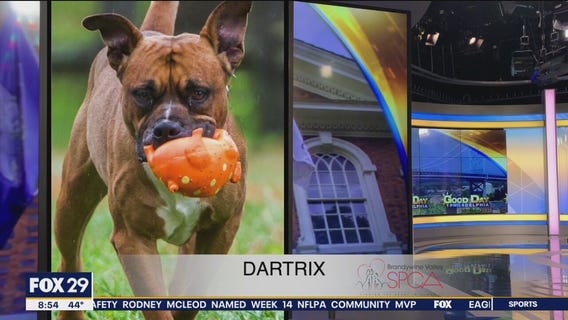 FurEver Home: Dec. 12, 2021