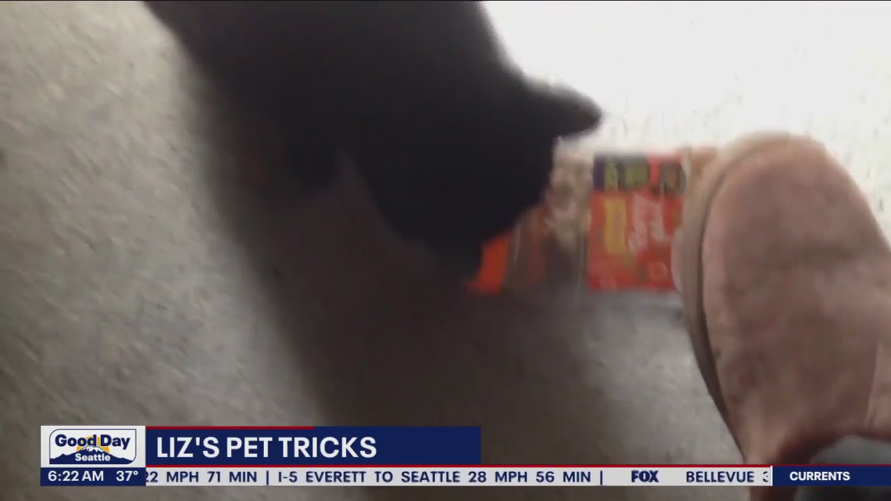 Liz's Pet Tricks for Monday, January 23