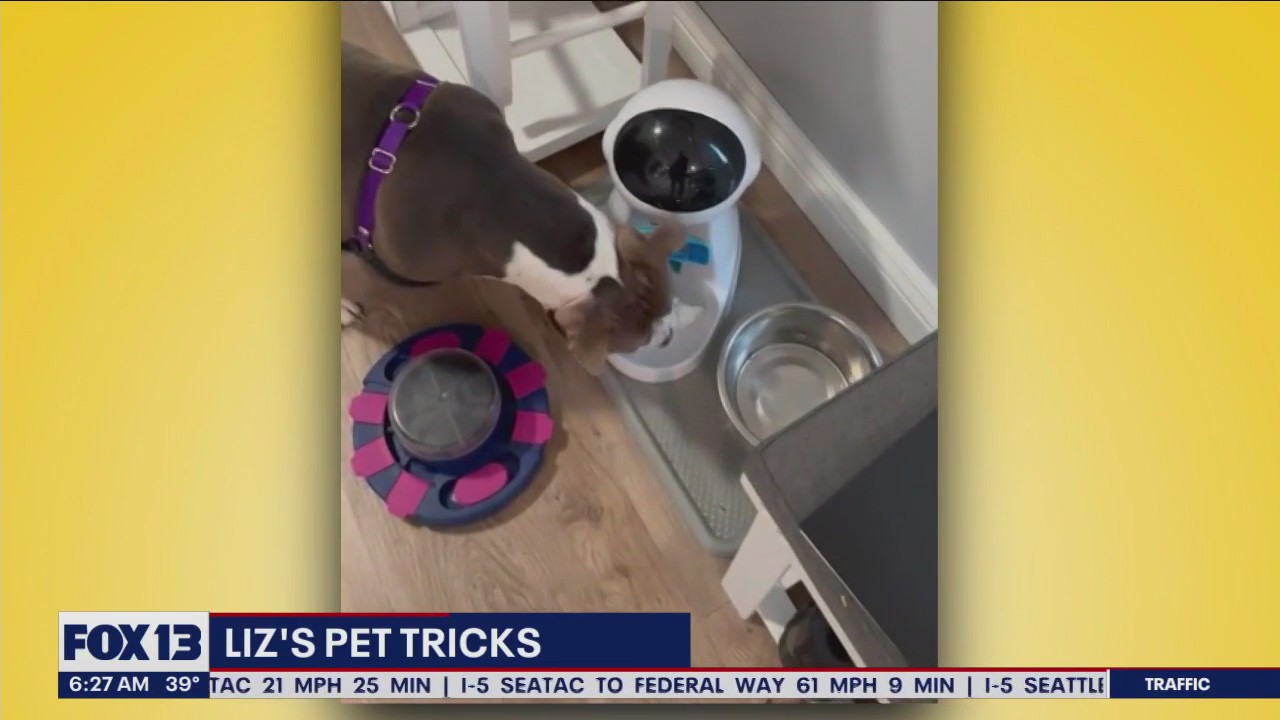 Liz's Pet Tricks for Tuesday, January 24