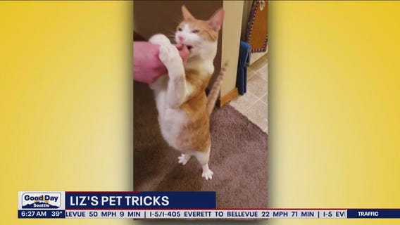 Liz's Pet Tricks for Thursday, January 26