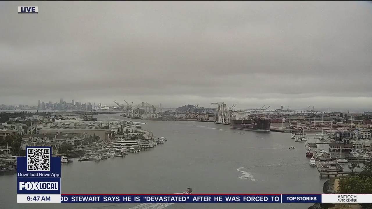 Bay Area weather on repeat