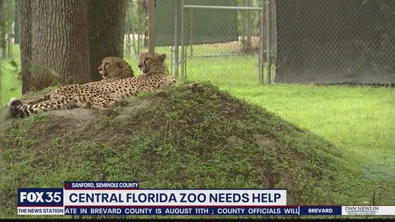 Central Florida Zoo in need of help