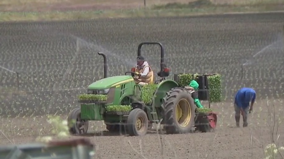 Report: ICE instructed to pause enforcement in agricultural, hospitality industries