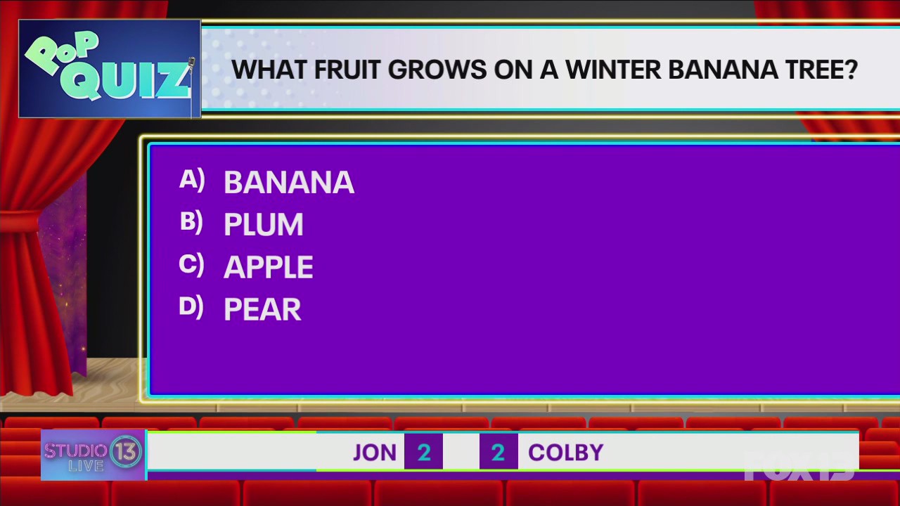 Pop Quiz: What fruit grows on a winter banana tree?