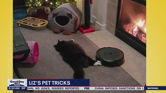Liz's Pet Tricks for Friday, February 17