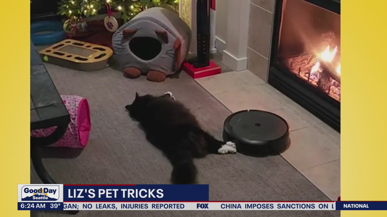 Liz's Pet Tricks for Friday, February 17