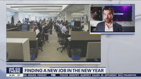 Finding a new job in the New Year