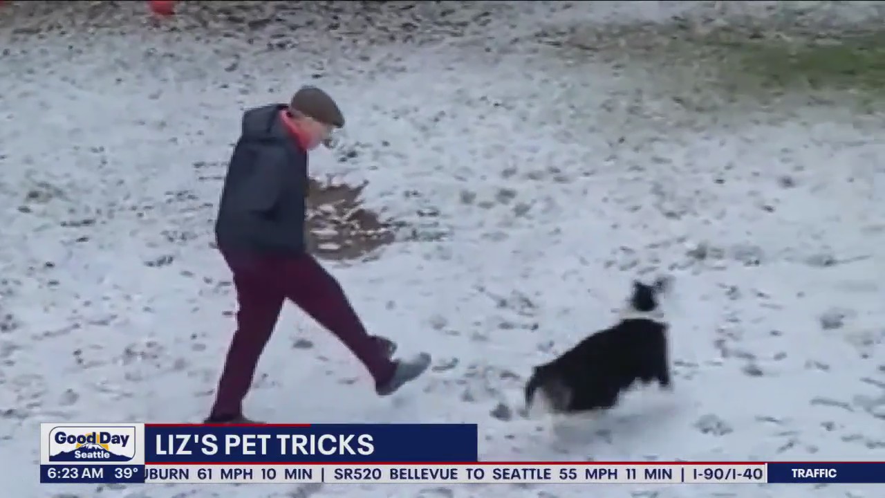 Liz's Pet Tricks for Tuesday, February 21