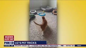 Liz's Pet Tricks for Thursday, February 23