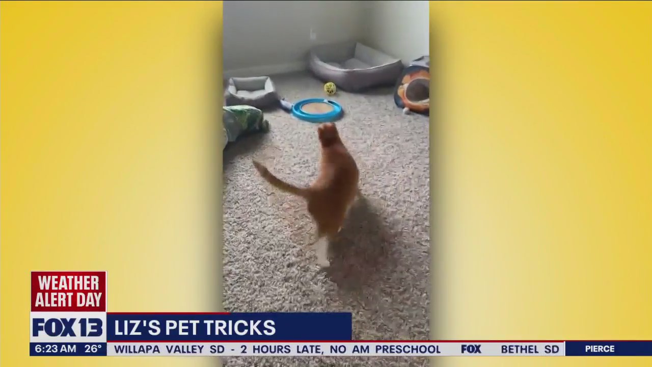 Liz's Pet Tricks for Thursday, February 23