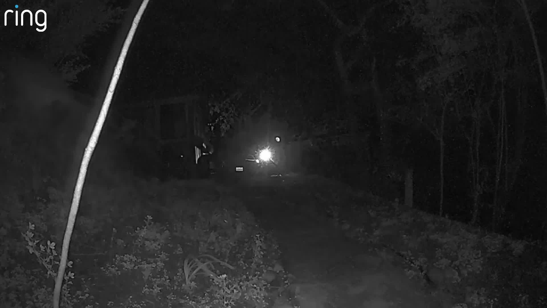 Mountain lion strolls around Forestville home