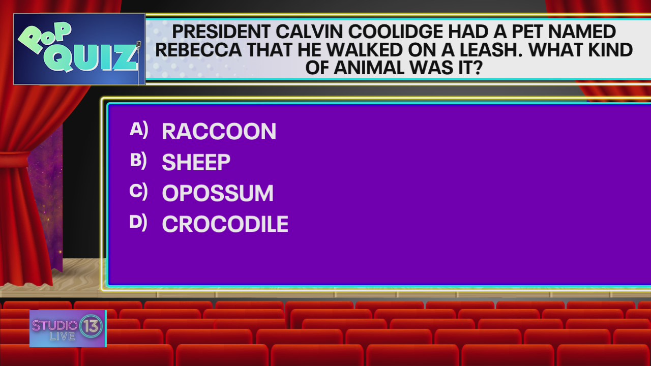 Pop Quiz: Pres. Calvin Coolidge had a pet named Rebecca, what kind of animal was it?