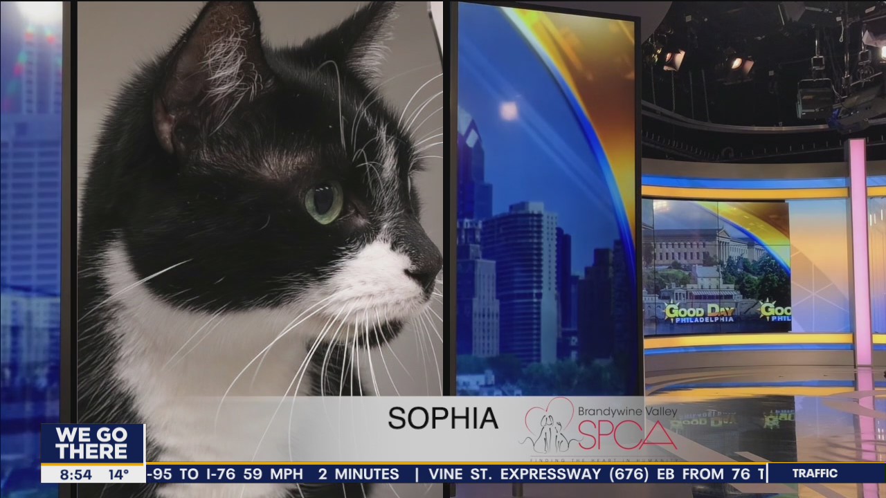 FurEver Home: Jan. 16, 2022