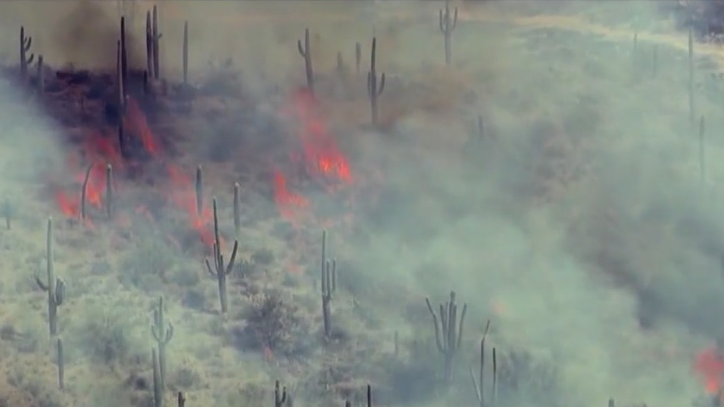 Siphon Fire: Containment grows on Pinal County wildfire