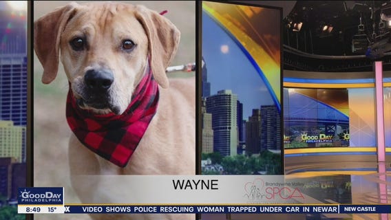 FurEver Home: Jan. 22, 2022