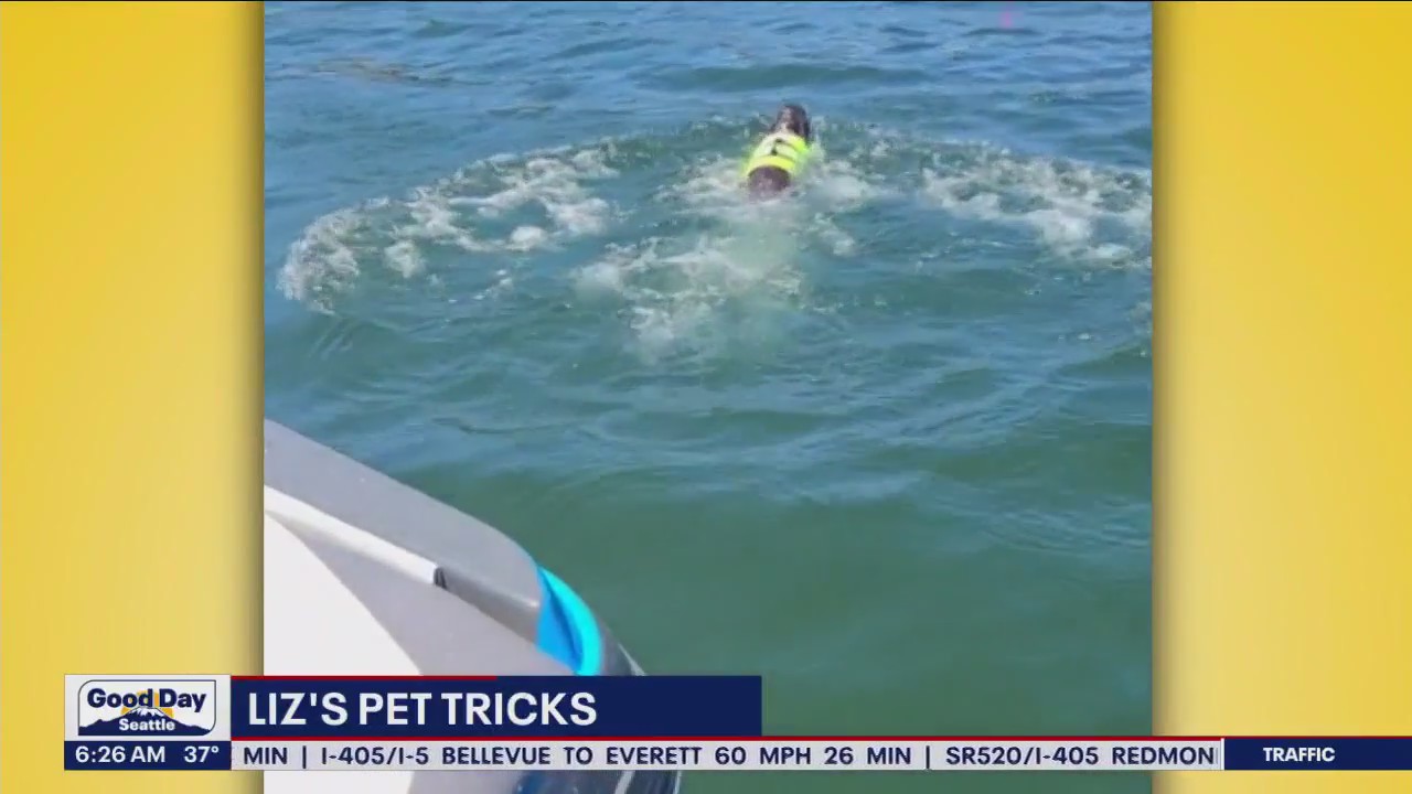 Liz's Pet Tricks for Thursday, March 9