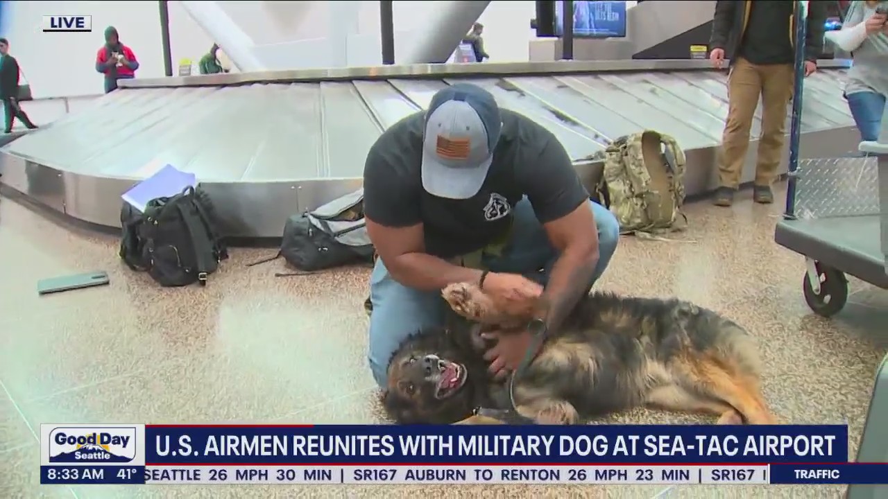 U.S. airman reunites with military dog