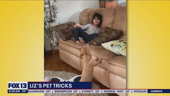 Liz's Pet Tricks for Thursday, March 16